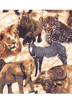 SAFARI BIG 5
